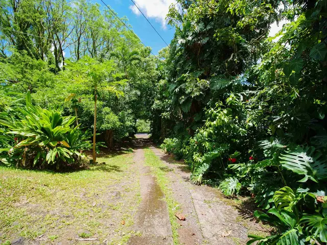 Listing Image for 4264 Hana Hwy 47 of 50