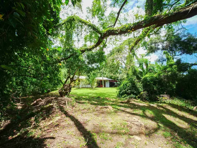 4264 Hana Hwy, Hana, 399721 - 5/50