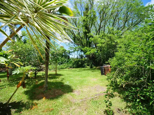 Listing Image for 4264 Hana Hwy 6 of 50