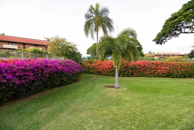 Listing Image for 2191 S Kihei Rd 2317 29 of 32