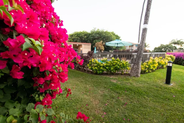 Listing Image for 2191 S Kihei Rd 2317 30 of 32