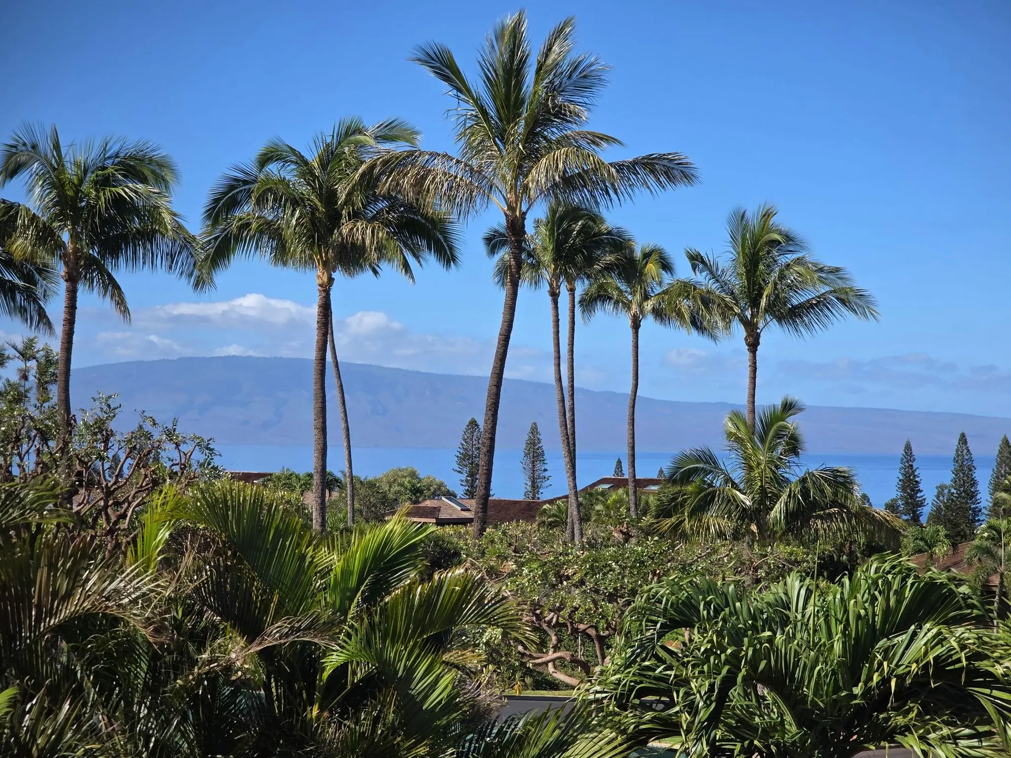 Photo of Listing #406512