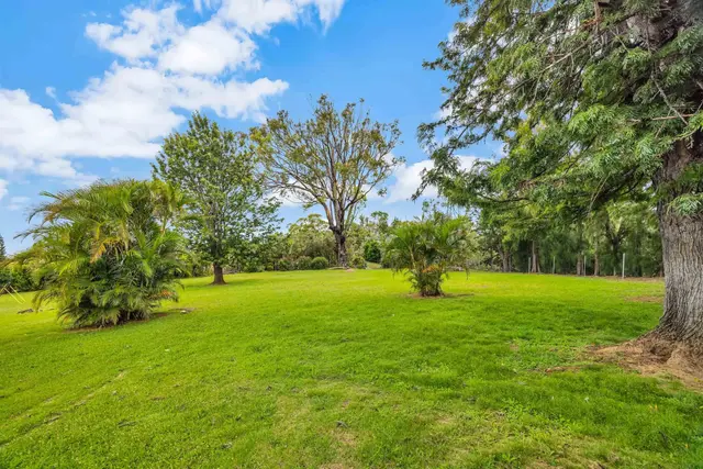 Listing Image for 41 Poha Pl 37 of 44