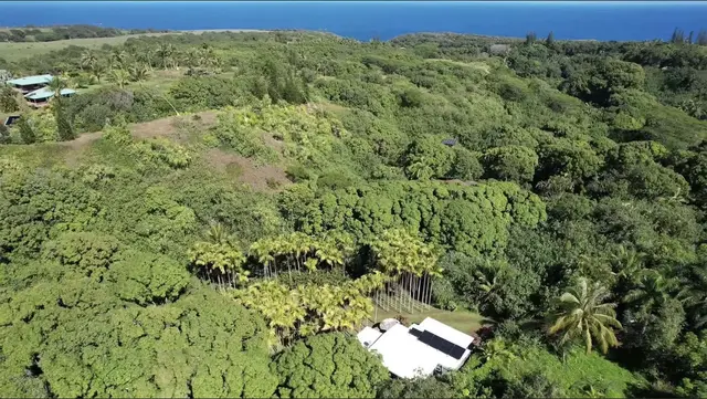 Listing Image for 404 Puniawa Rd 31 of 36