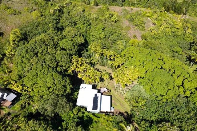 Listing Image for 404 Puniawa Rd 33 of 36