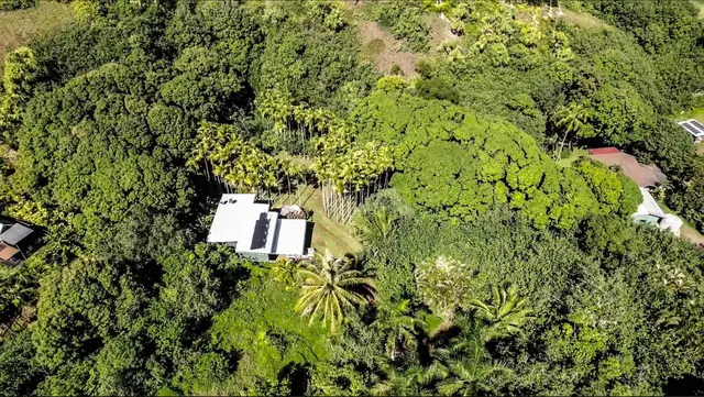 Listing Image for 404 Puniawa Rd 34 of 36