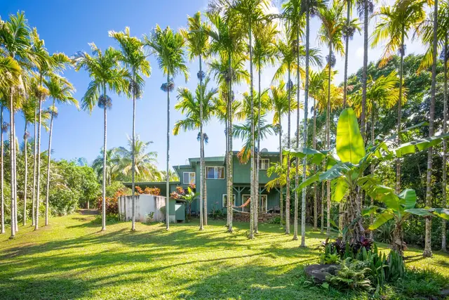 Listing Image for 404 Puniawa Rd 35 of 36