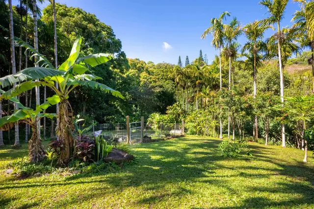 Listing Image for 404 Puniawa Rd 4 of 36