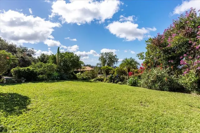 Listing Image for 37 Manu St 46 of 50