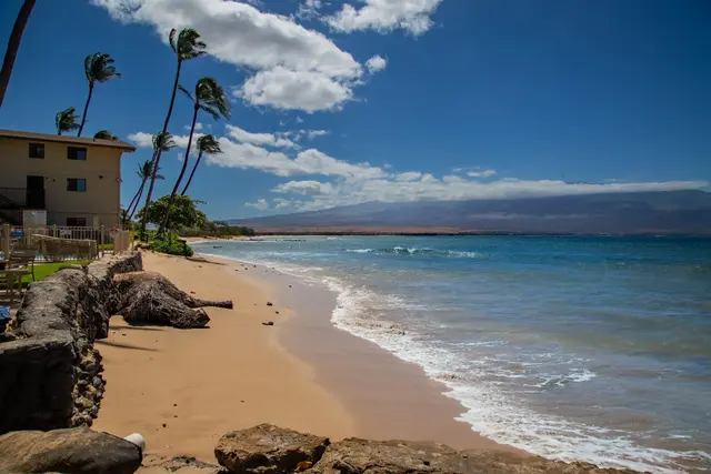 Listing Image for 280 Hauoli St B-17 49 of 50