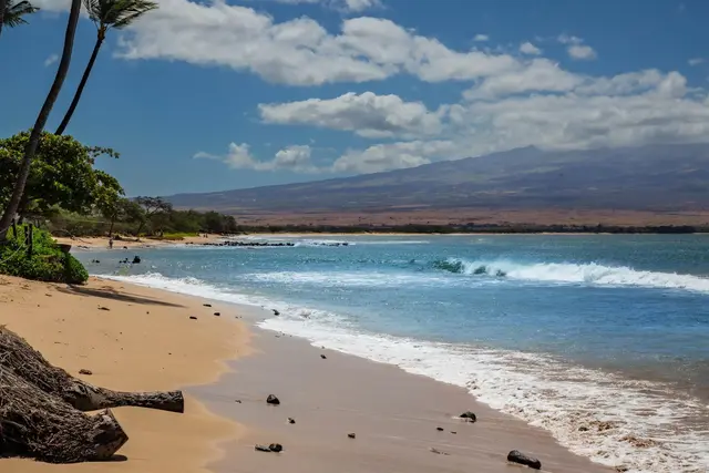 Listing Image for 280 Hauoli St B-17 50 of 50