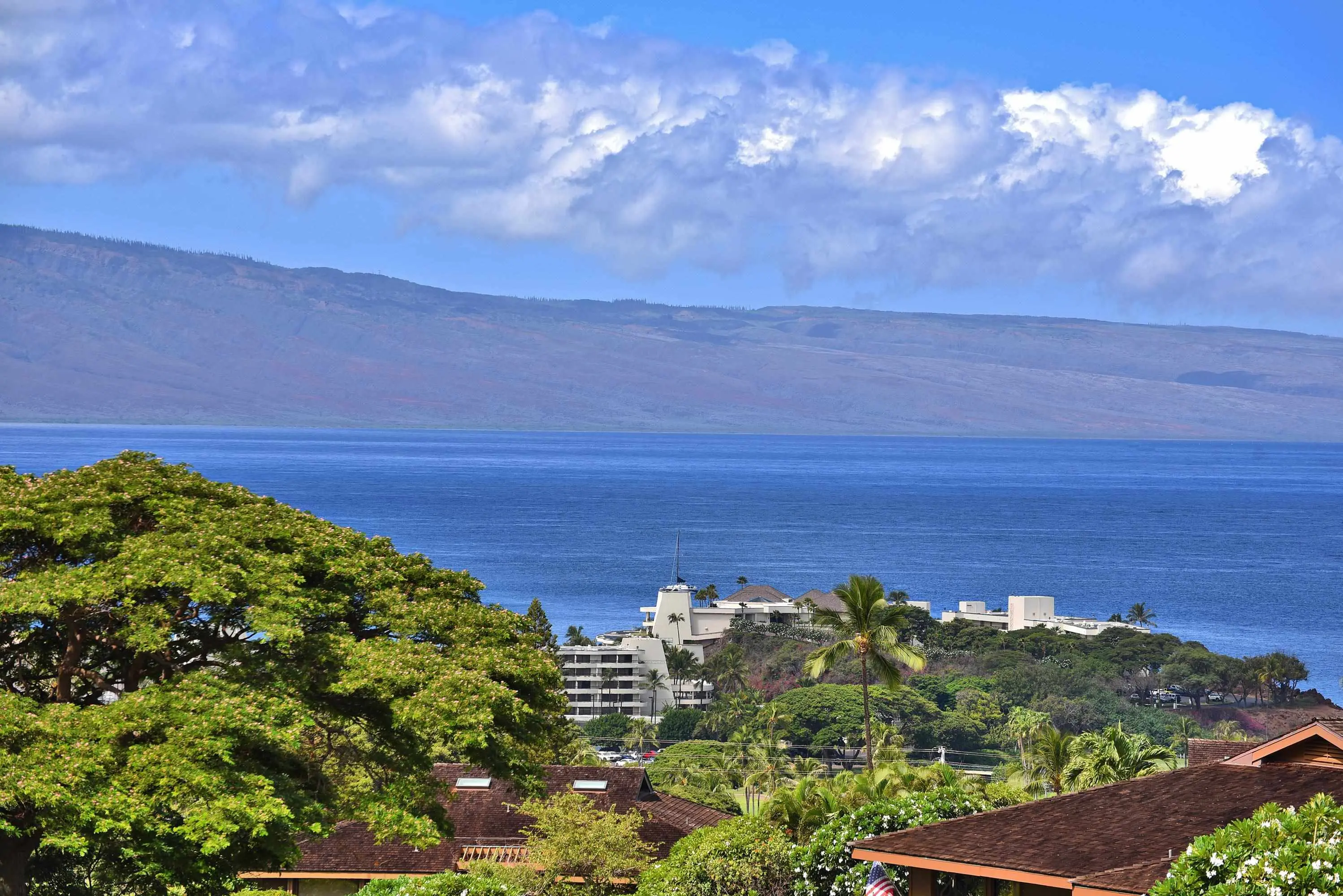 Photo of Listing #409121