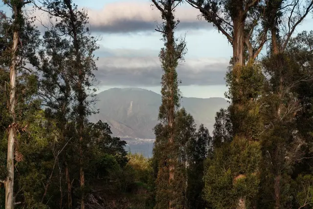 Listing Image for 61 Naniuka Pl 38 of 50