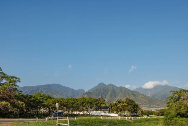 Listing Image for 70 Hoku Puhipaka St 44 of 47