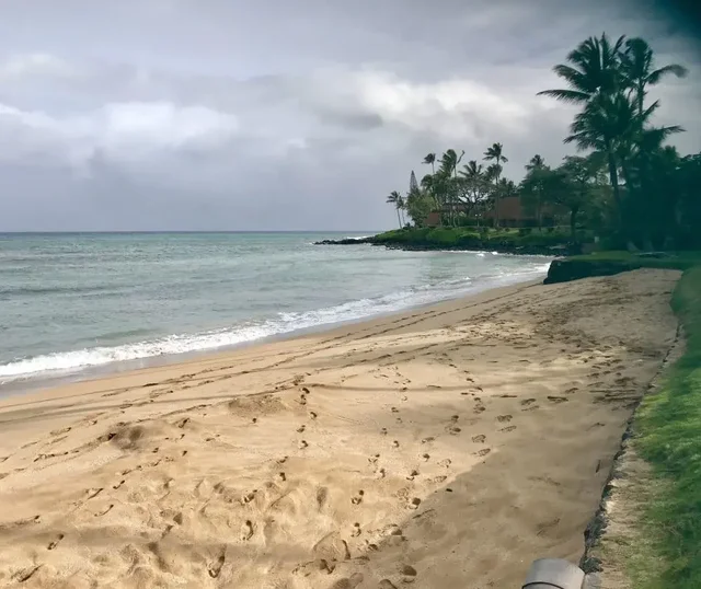 Listing Image for 3875 Lower Honoapiilani Rd A206 25 of 26