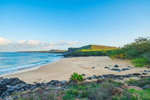 Listing Image for 255 Kepuhi Pl 14a04 24 of 26