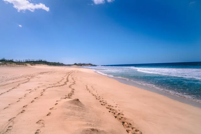 Listing Image for 255 Kepuhi Pl 14a04 26 of 26