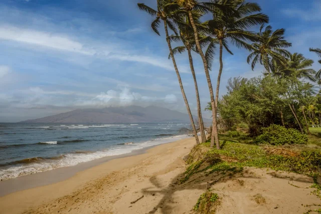 Listing Image for 1450 S Kihei Rd G102 31 of 37