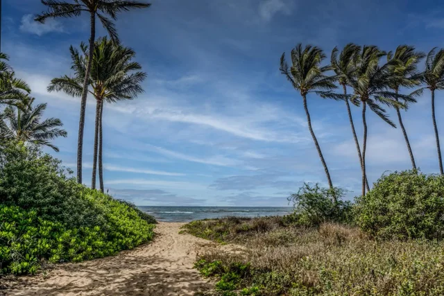 Listing Image for 1450 S Kihei Rd G102 32 of 37