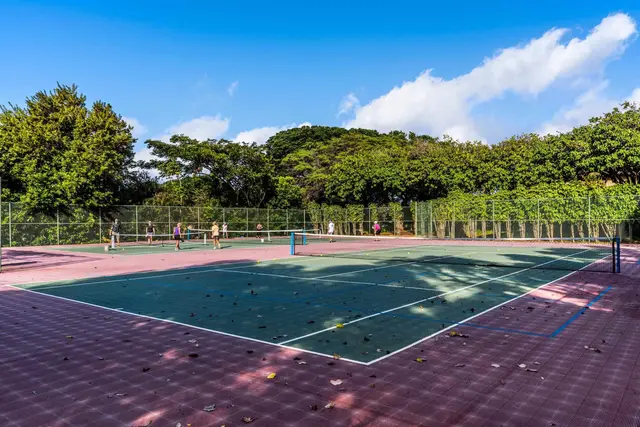 Listing Image for 50 Kepuhi Pl 128 19 of 22