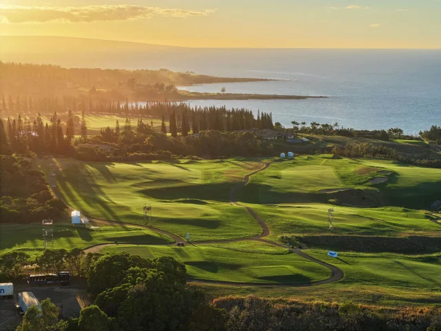 Listing Image for 98 Keoawa Pl 8 10 of 44