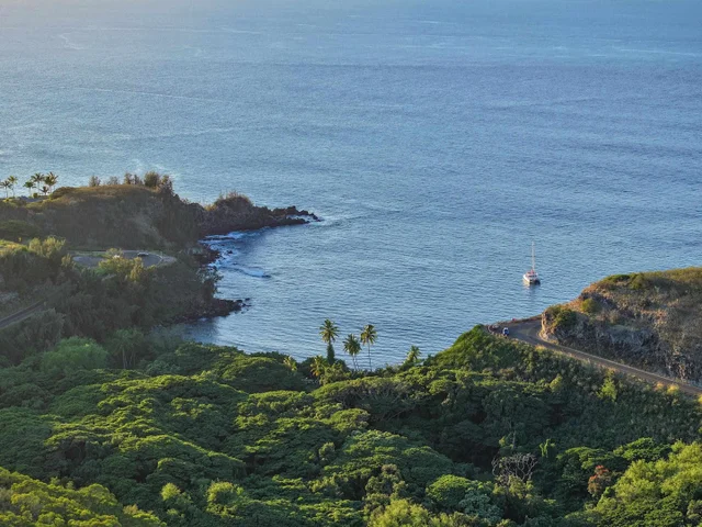 Listing Image for 98 Keoawa Pl 8 11 of 44