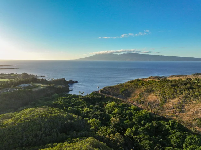 Listing Image for 98 Keoawa Pl 8 12 of 44