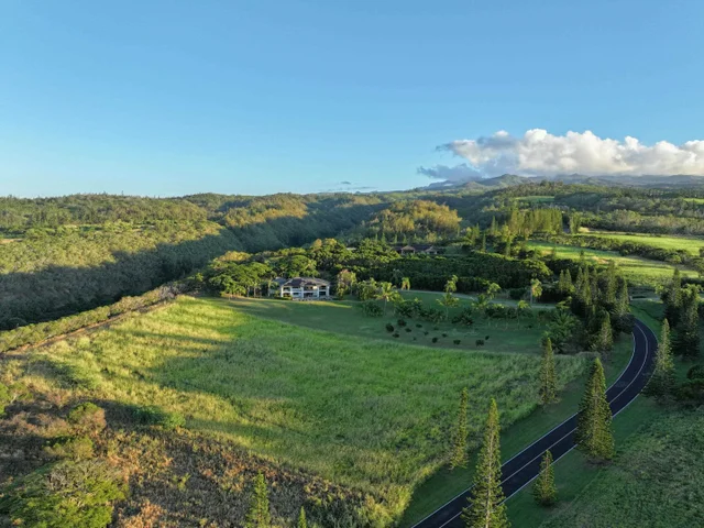 Listing Image for 98 Keoawa Pl 8 13 of 44