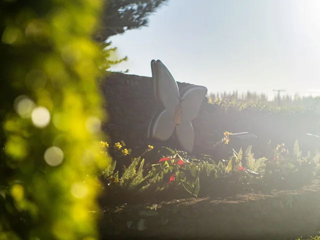 Listing Image for 98 Keoawa Pl 8 18 of 44