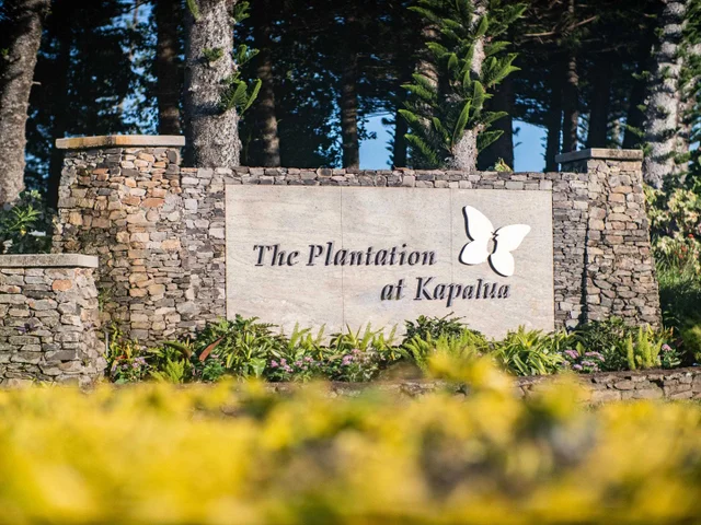 Listing Image for 98 Keoawa Pl 8 2 of 44