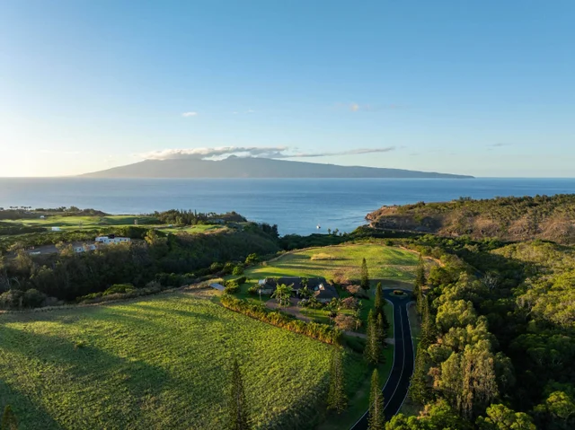 Listing Image for 98 Keoawa Pl 8 28 of 44