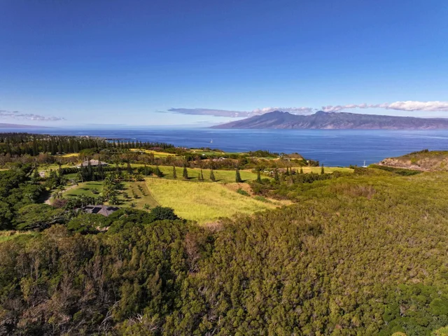 Listing Image for 98 Keoawa Pl 8 37 of 44