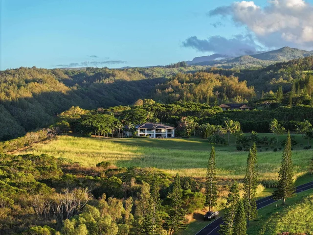 Listing Image for 98 Keoawa Pl 8 39 of 44