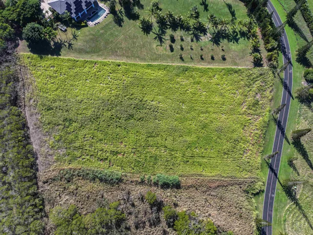 Listing Image for 98 Keoawa Pl 8 4 of 44