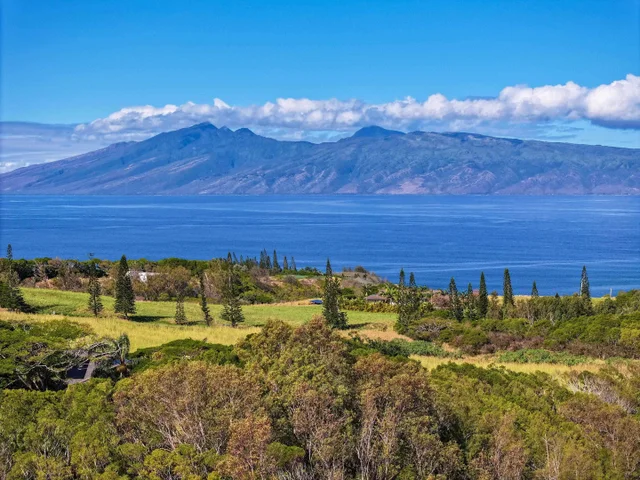 Listing Image for 98 Keoawa Pl 8 42 of 44