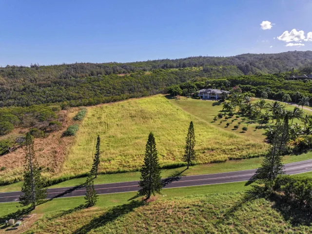 Listing Image for 98 Keoawa Pl 8 43 of 44