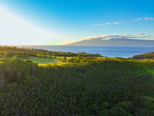 Listing Image for 98 Keoawa Pl 8 44 of 44