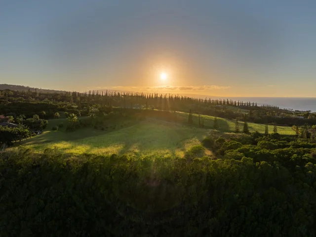 Listing Image for 98 Keoawa Pl 8 6 of 44