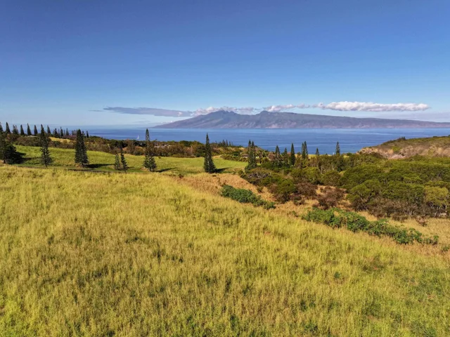 Listing Image for 98 Keoawa Pl 8 7 of 44