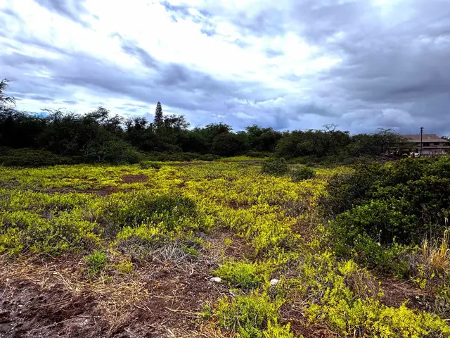 Listing Image for 118 Kamehameha V Hwy Lot 377 6 of 8