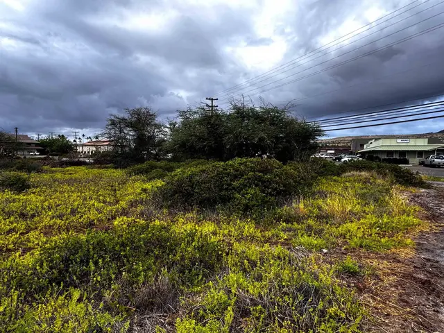 Listing Image for 118 Kamehameha V Hwy Lot 377 7 of 8
