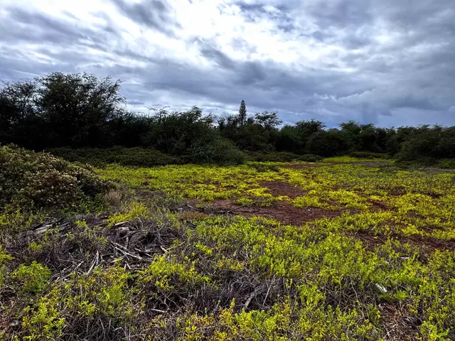 Listing Image for 118 Kamehameha V Hwy Lot 377 8 of 8