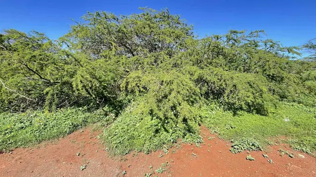 Listing Image for 0 Kaiaka Rd 2 of 15