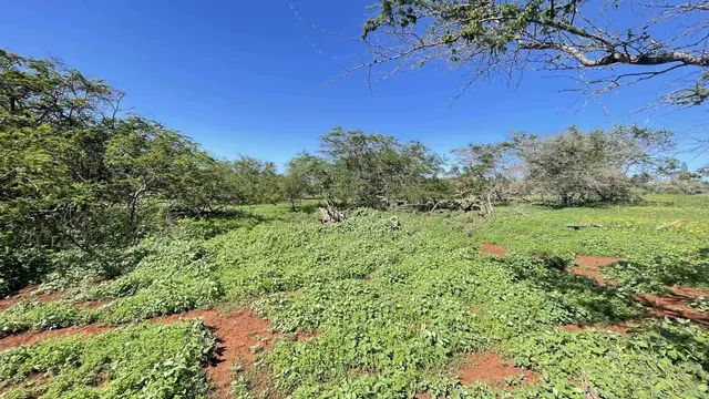 Listing Image for 0 Kaiaka Rd 4 of 15