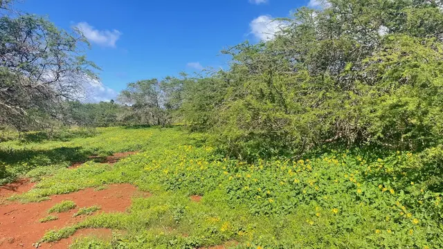 Listing Image for 0 Kaiaka Rd 5 of 15