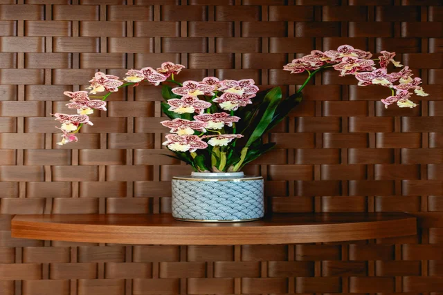 Listing Image for 210 Naio Pl 18 of 50