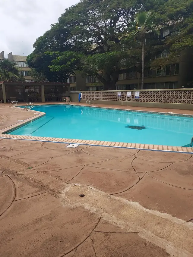 Listing Image for 111 E Kahului Beach Road Rd A-404 11 of 11