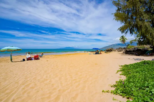 Listing Image for 2191 S Kihei Rd 3-406 32 of 34