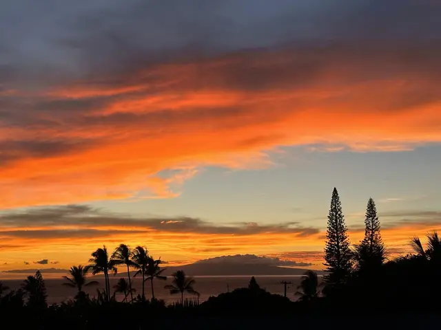 Listing Image for 2191 S Kihei Rd 3-406 34 of 34