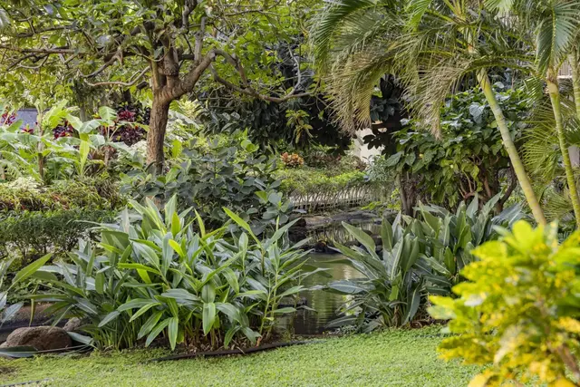 Listing Image for 3445 Lower Honoapiilani Rd 149 22 of 42